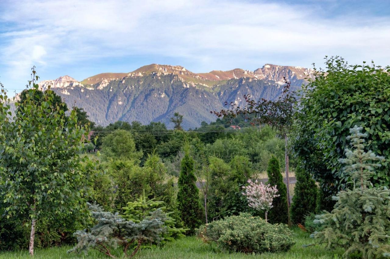 Green Resort Bran Bran  Esterno foto