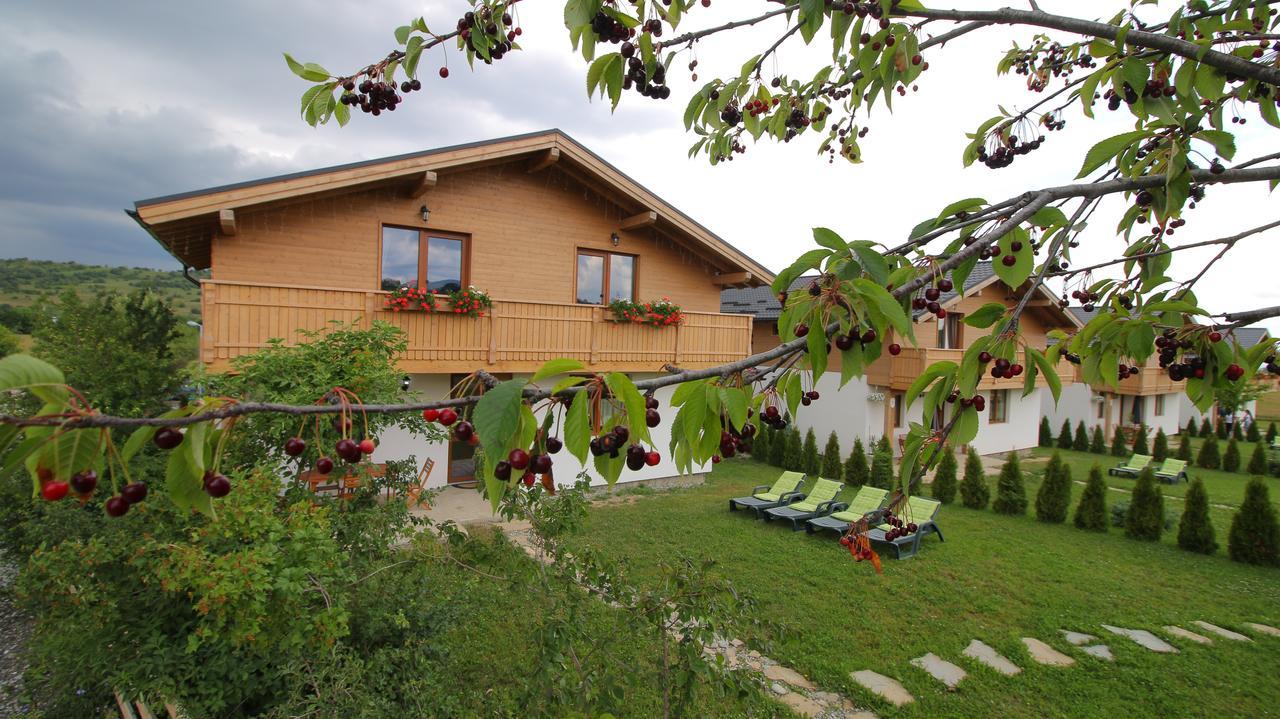 Green Resort Bran Bran  Esterno foto
